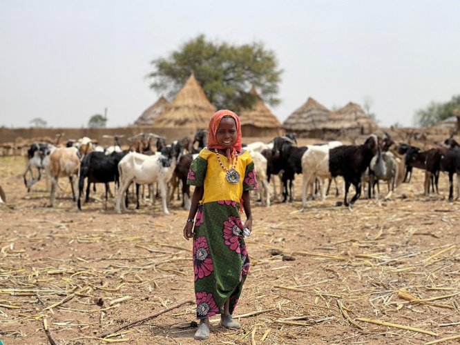 We Sacrificed Animals and Distributed Them to the People in the Mongo Province of Chad, Africa