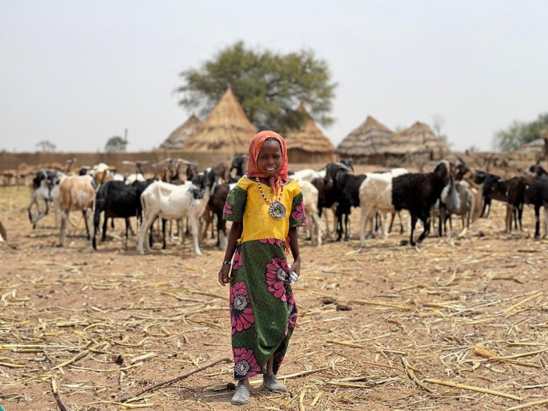 We Sacrificed Animals and Distributed Them to the People in the Mongo Province of Chad, Africa